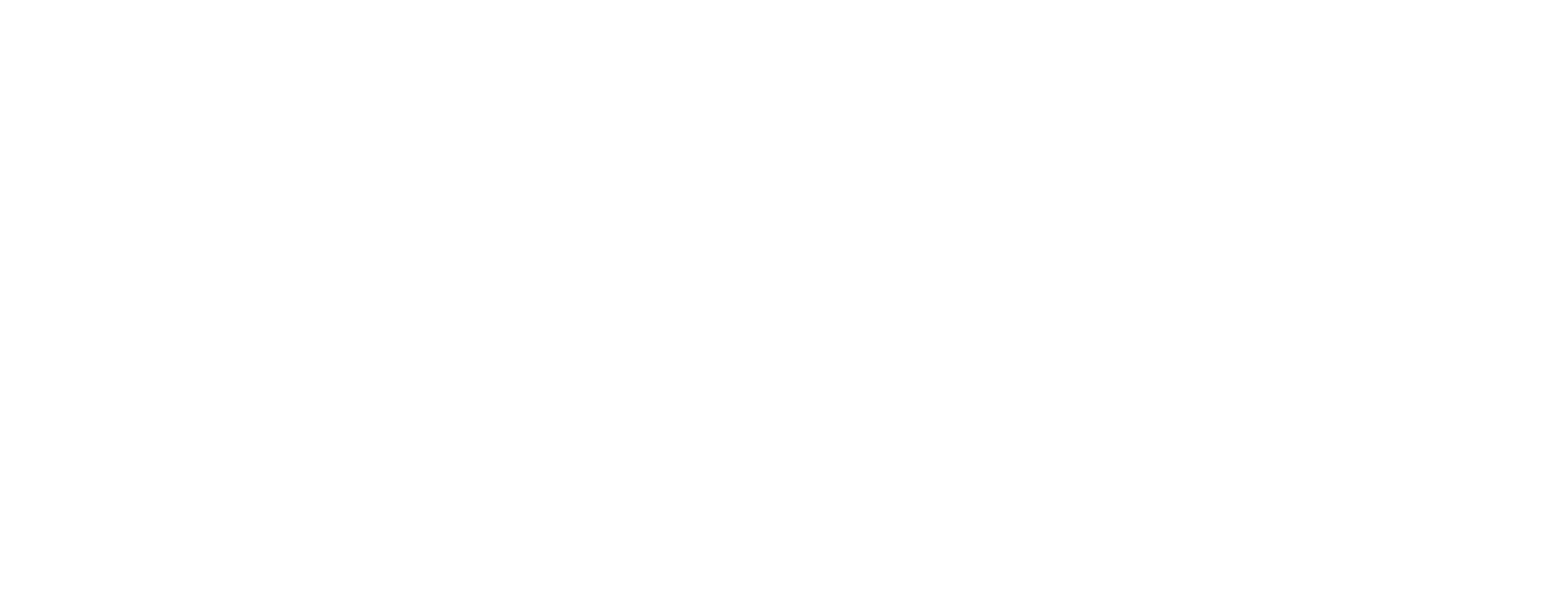 Voiceyfy logo